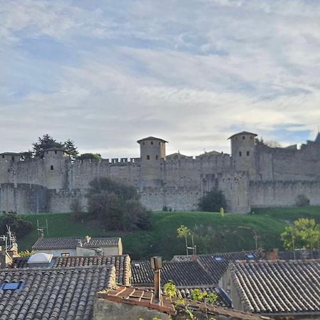 Vue Cite Medievale Castel View 카르카손 외부 사진