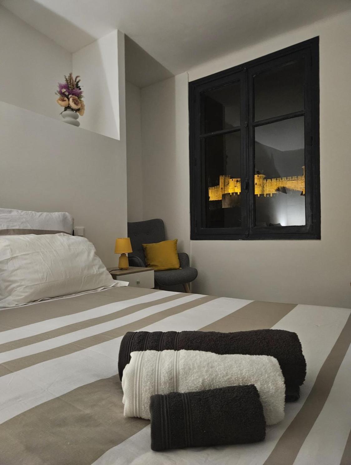 Vue Cite Medievale Castel View 카르카손 외부 사진