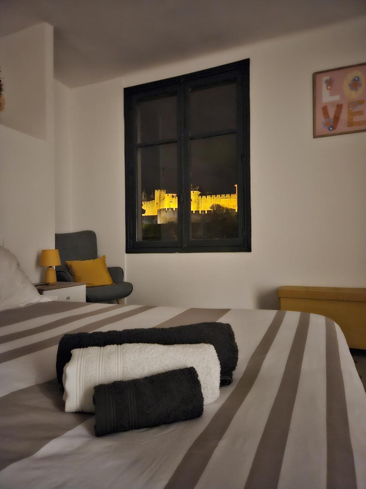 Vue Cite Medievale Castel View 카르카손 외부 사진