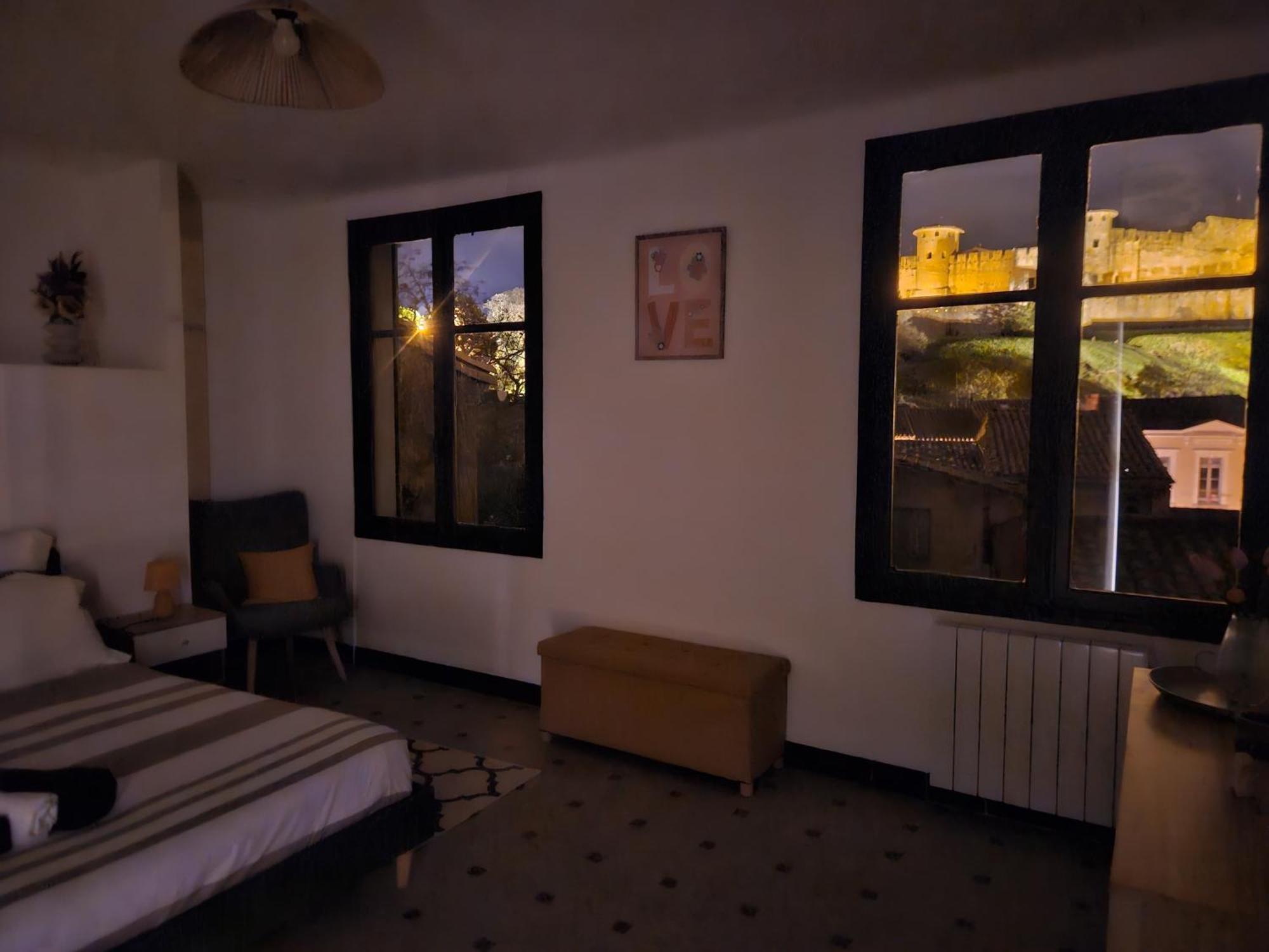 Vue Cite Medievale Castel View 카르카손 외부 사진