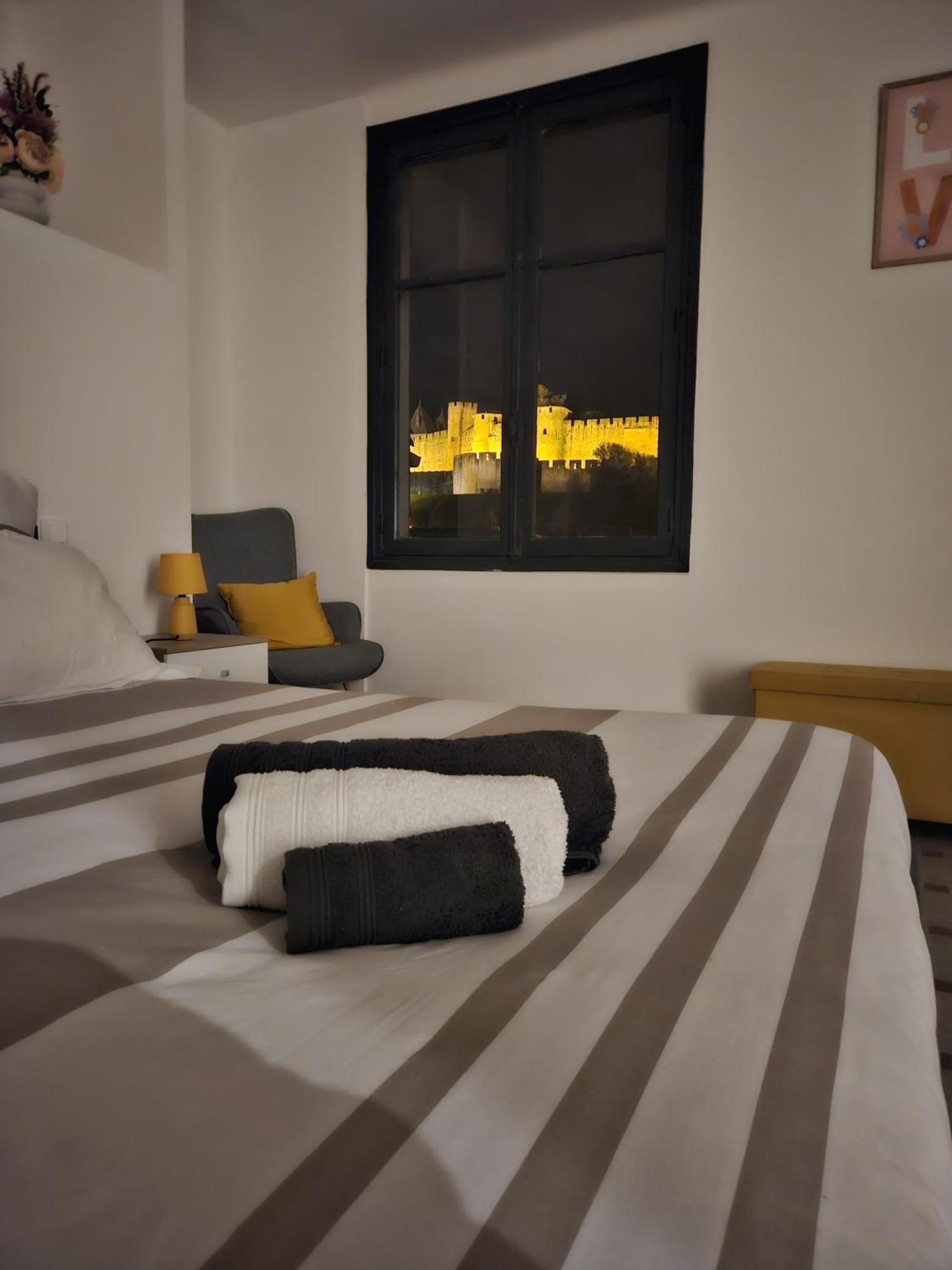 Vue Cite Medievale Castel View 카르카손 외부 사진