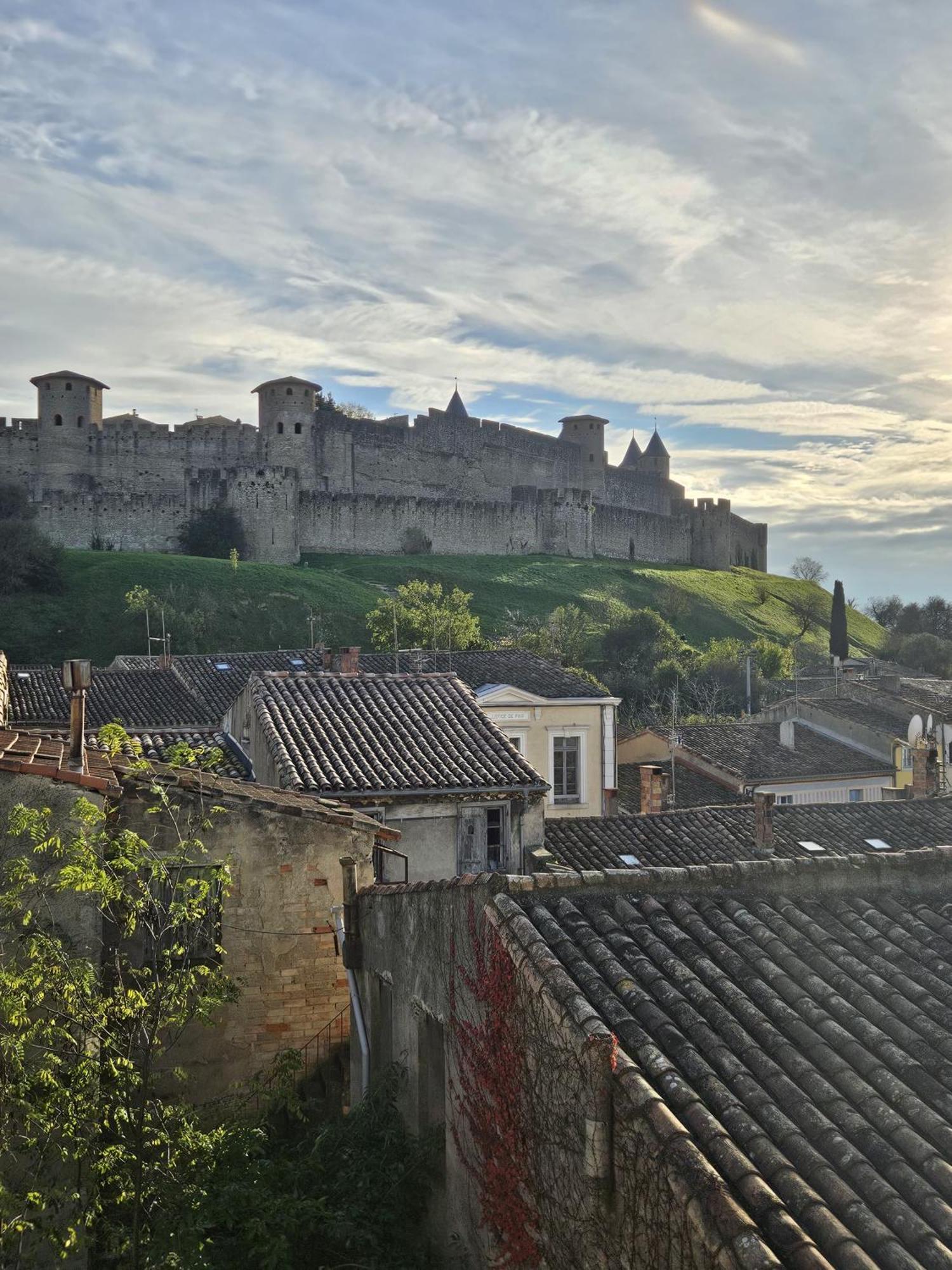 Vue Cite Medievale Castel View 카르카손 외부 사진