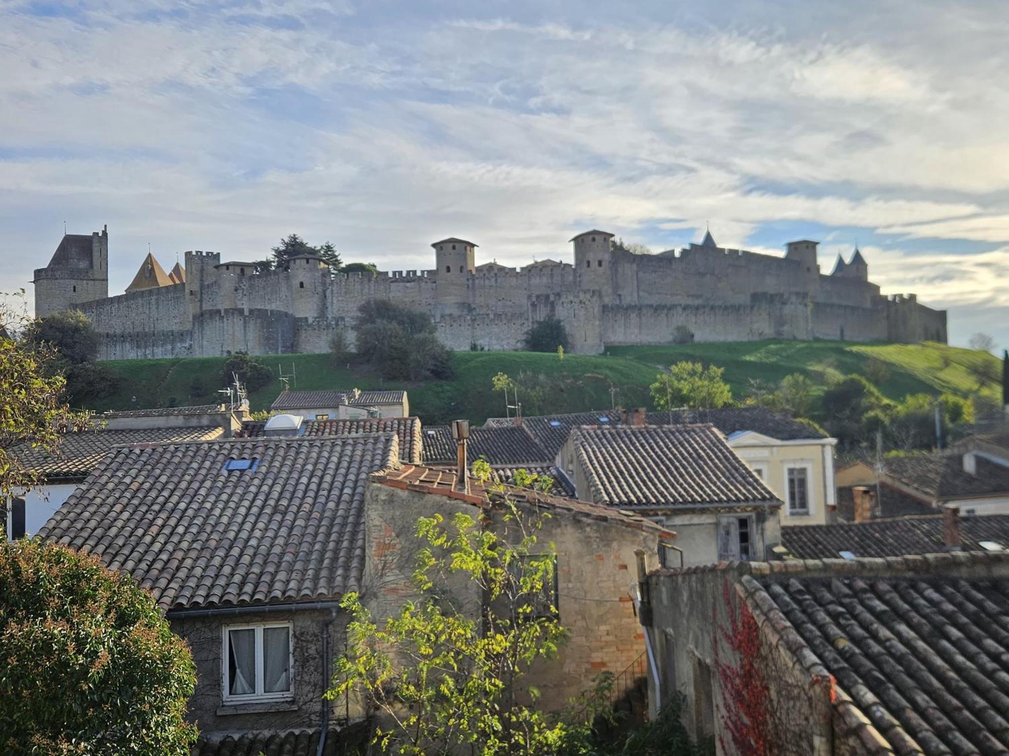 Vue Cite Medievale Castel View 카르카손 외부 사진