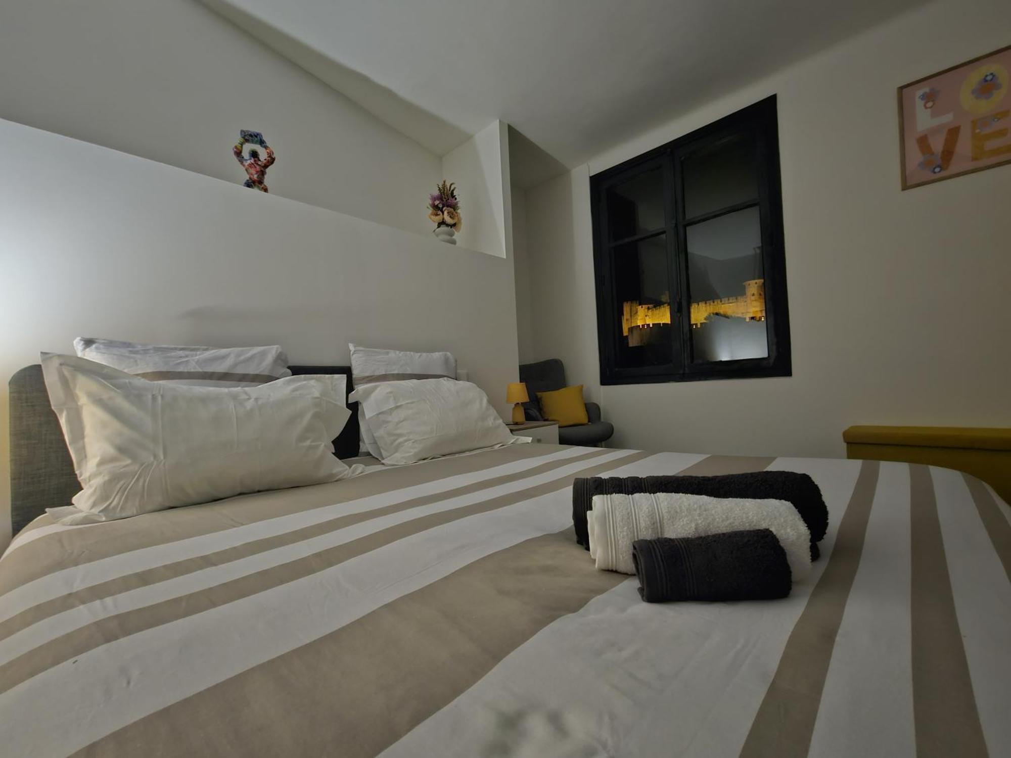 Vue Cite Medievale Castel View 카르카손 외부 사진