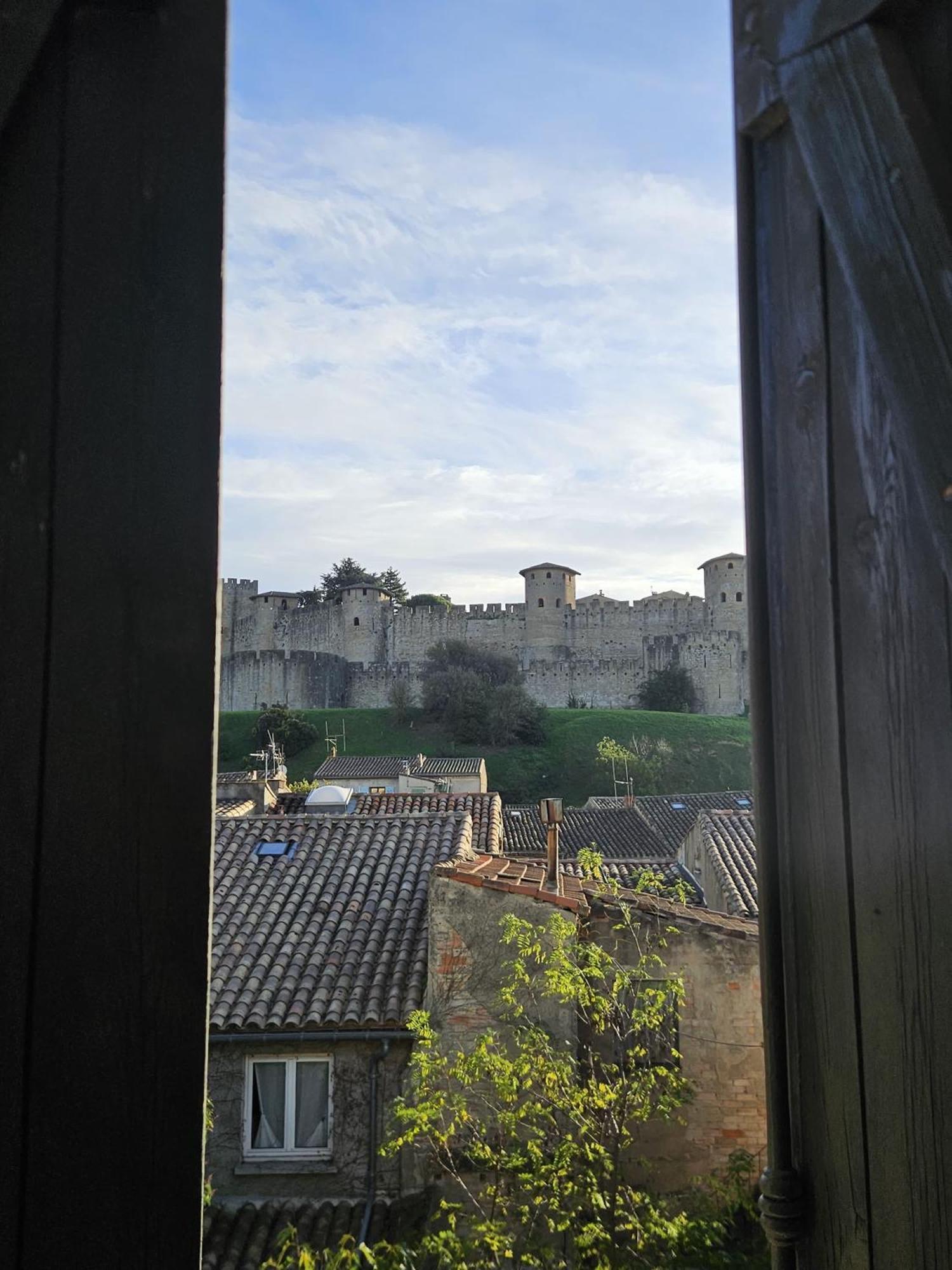 Vue Cite Medievale Castel View 카르카손 외부 사진