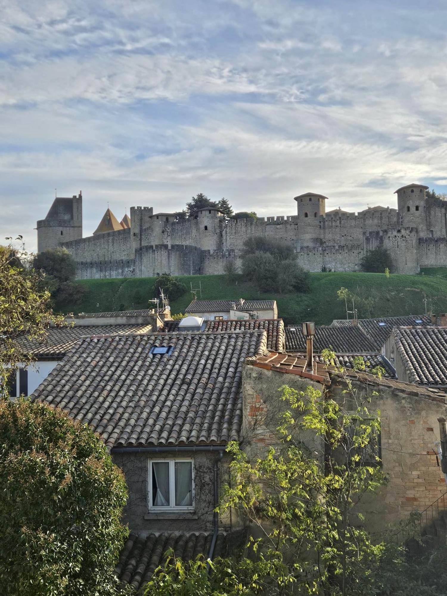 Vue Cite Medievale Castel View 카르카손 외부 사진