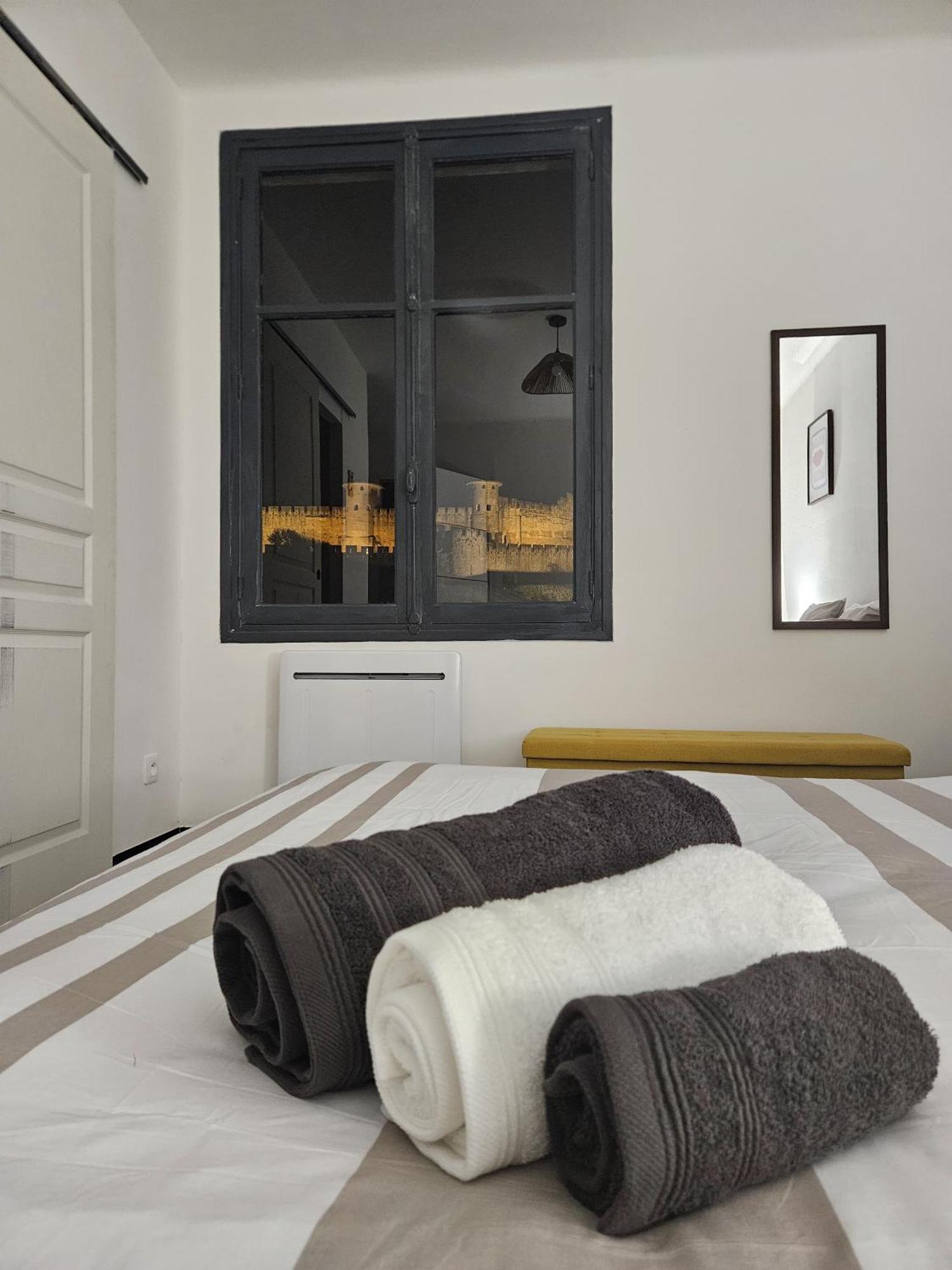 Vue Cite Medievale Castel View 카르카손 외부 사진