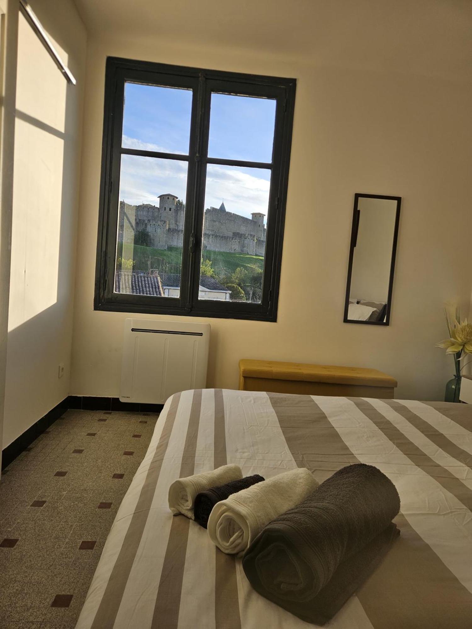 Vue Cite Medievale Castel View 카르카손 외부 사진