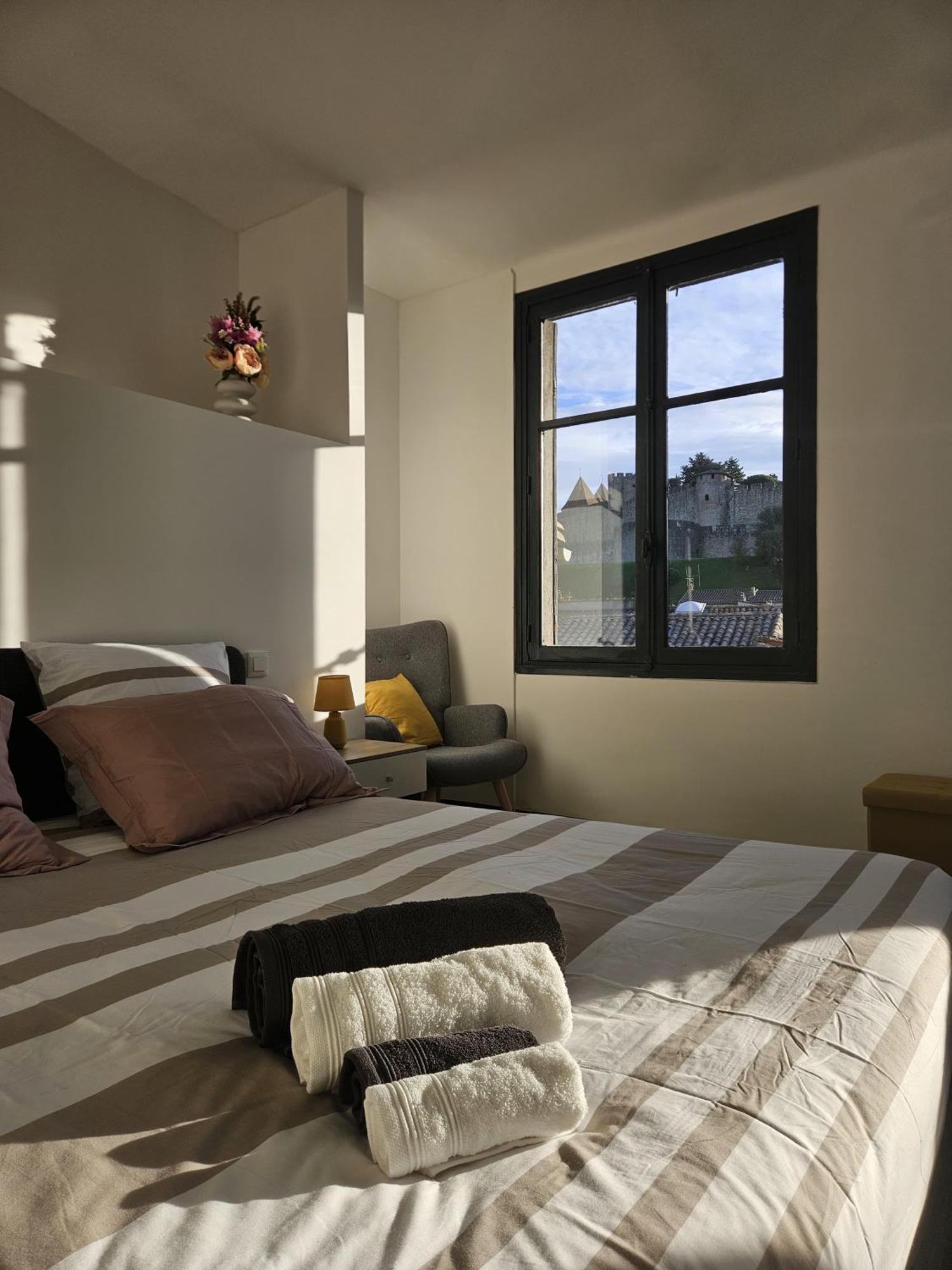 Vue Cite Medievale Castel View 카르카손 외부 사진
